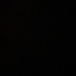 Meet your Posher, Sidney